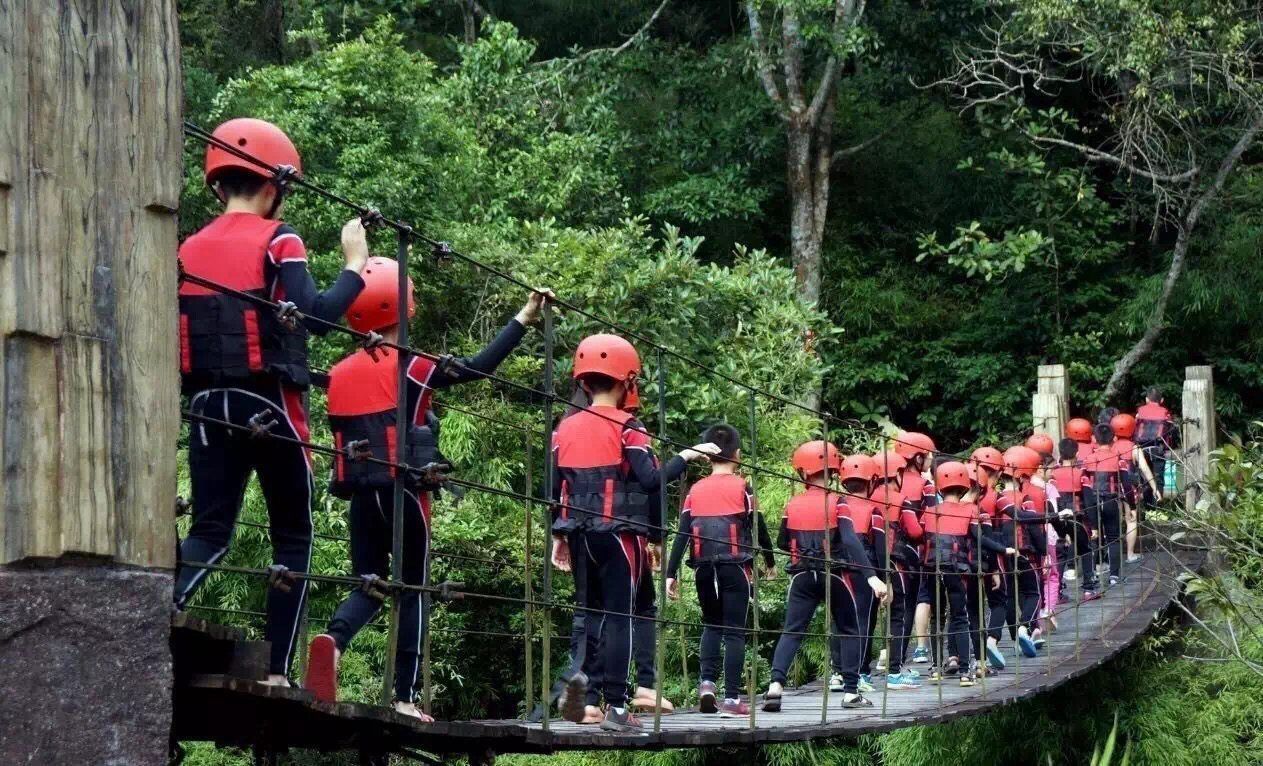 活动图片